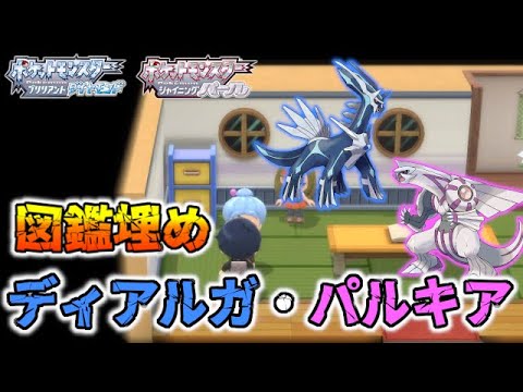 【図鑑埋め】もう片方のディアルガ・パルキアはここで見れます【ポケモンBDSP/ダイパリメイク】