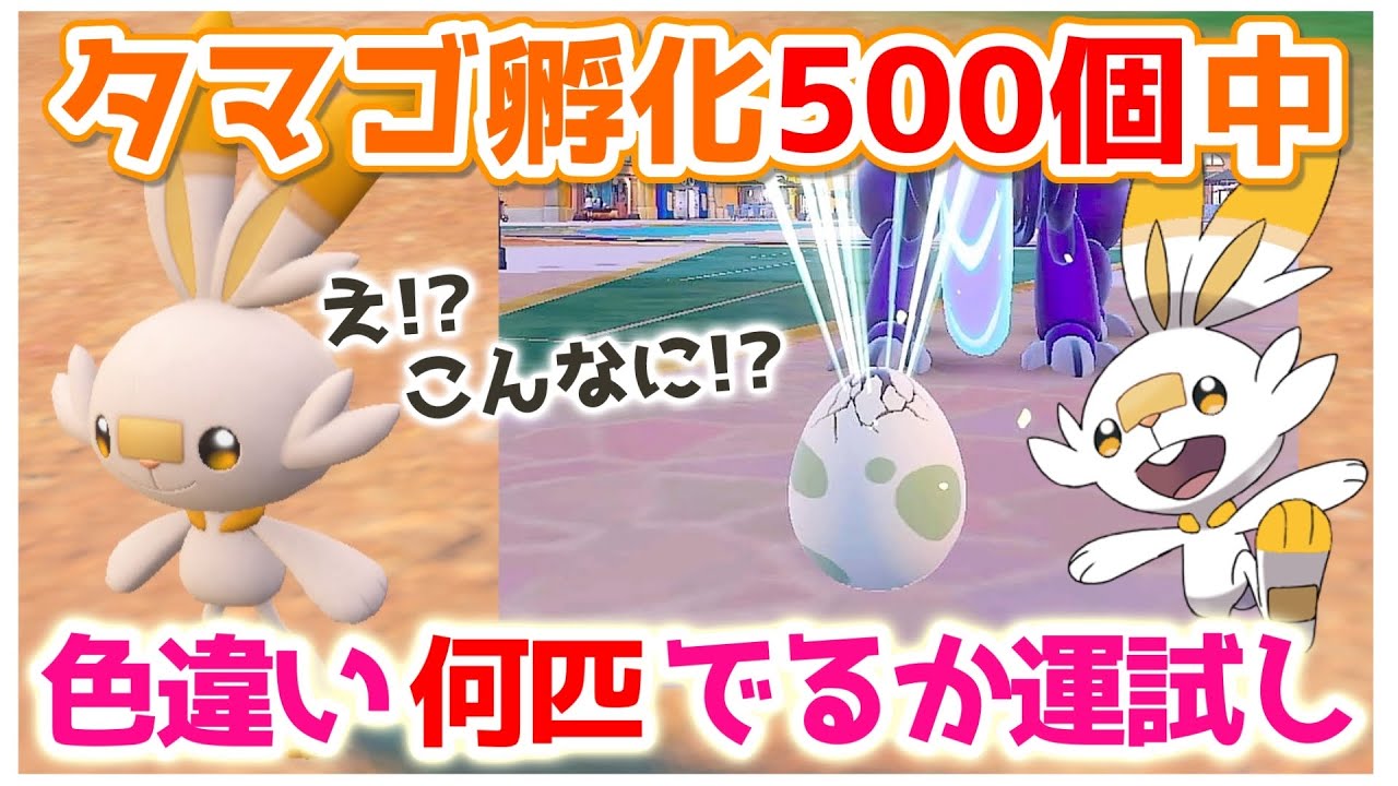 【ポケモンSV】ヒバニー国際卵孵化500個で色違い出るか運試し！