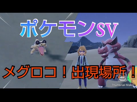 ポケモンSV メグロコ出現場所！参考動画