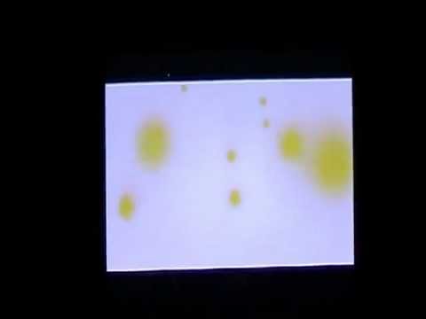 ことしはたつどし！タマゴプレゼント孵化の瞬間（タッツー）