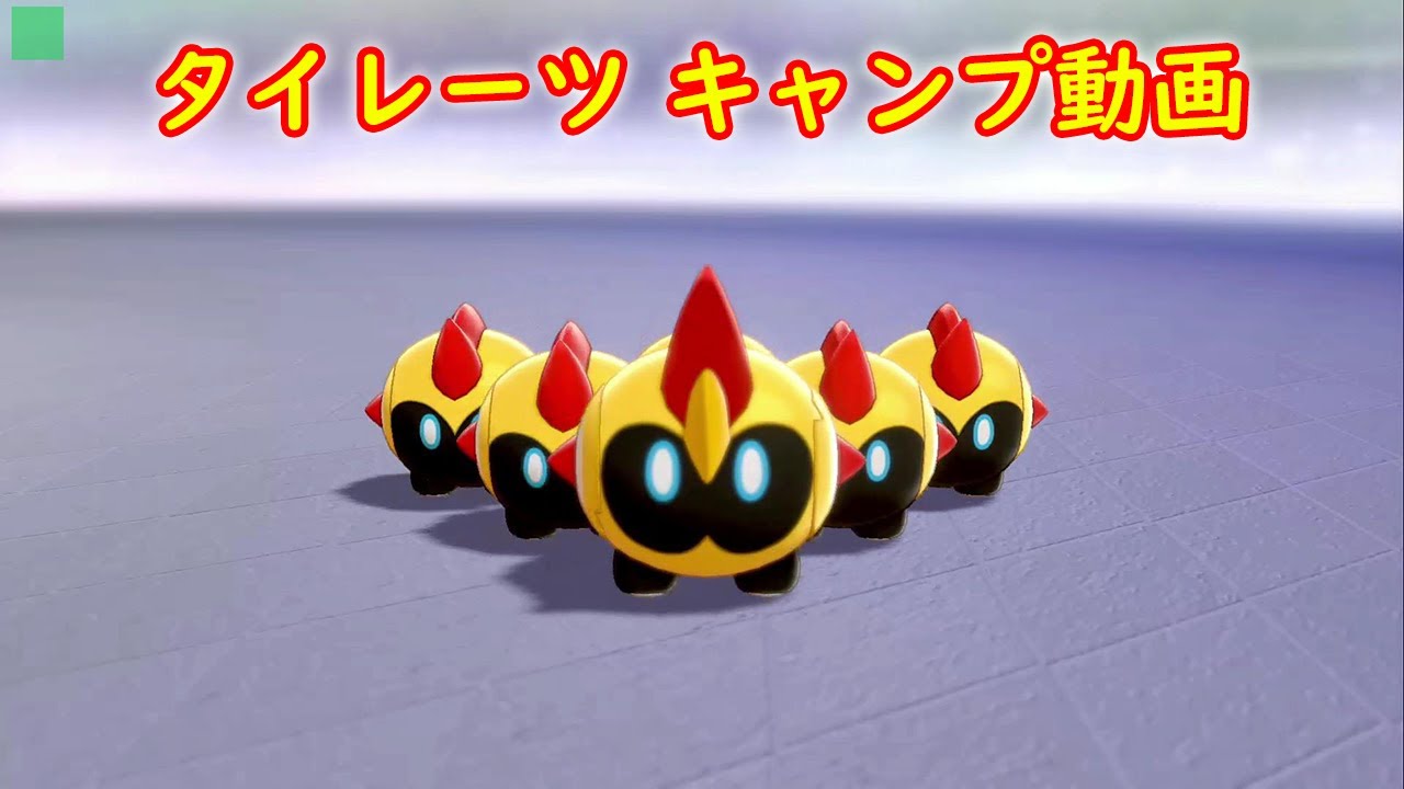 【タイレーツ】キャンプで遊ぶ【ポケモン ソード シールド ポケモン剣盾】