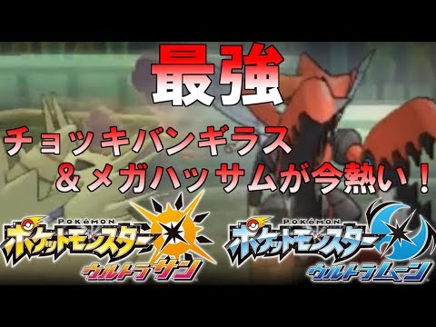 【ポケモン】このサイクルは難攻不落！チョッキバンギラス＆メガハッサム【ウルトラサン・ウルトラムーン/ポケモンUSUM】