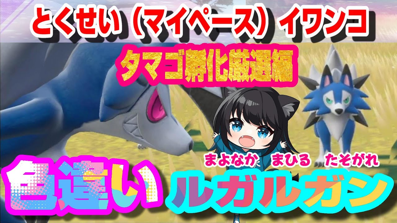 【色違い】ルガルガン【タマゴ孵化厳選編！】昼,夕,夜 みんな色違い進化