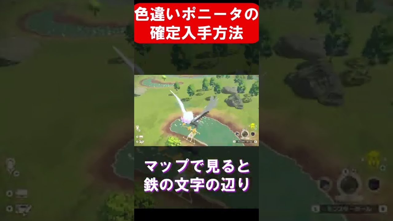 色違いのポニータを確定で入手する方法！隠れた発生条件も【ポケモンレジェンズアルセウス】【攻略動画】 #Shorts