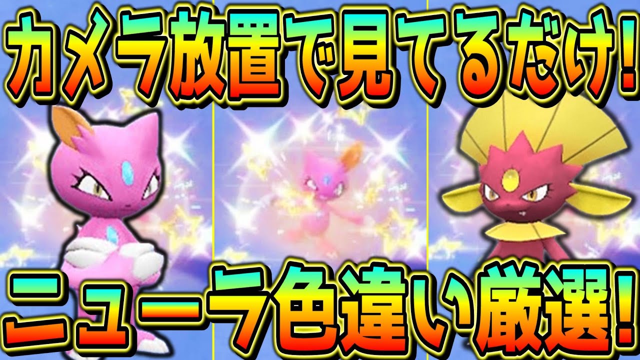 カメラ放置！見ているだけのニューラ色違い厳選方法！【ポケモンSV】