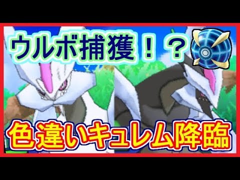 【USUM】#40 色違いキュレム！ウルボで捕獲の瞬間！ 伝説色違いウルトラボールで捕獲の旅！  ポケモンウルトラサンムーン Part40【メイルス実況】