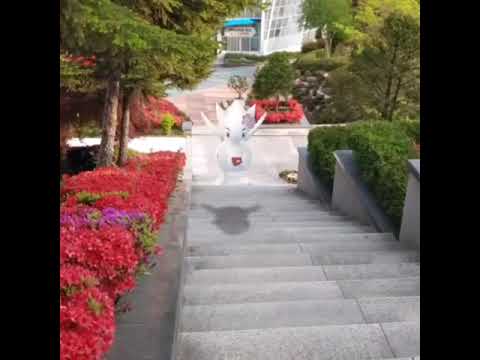 토게틱 ( Togetic ) トゲチック ( 波克基古 )