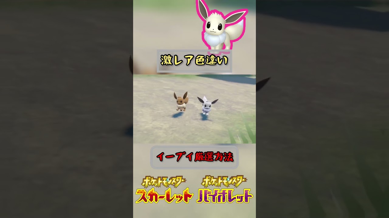 激レア色違いイーブイの入手方法がw【 #ポケモンsv 】