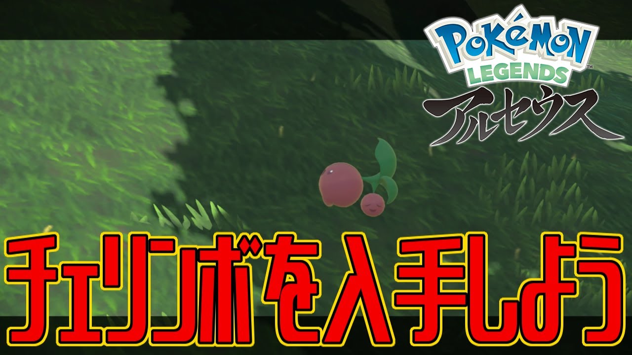 【ポケモンアルセウス】チェリンボを入手しよう【Pokémon LEGENDS アルセウス】