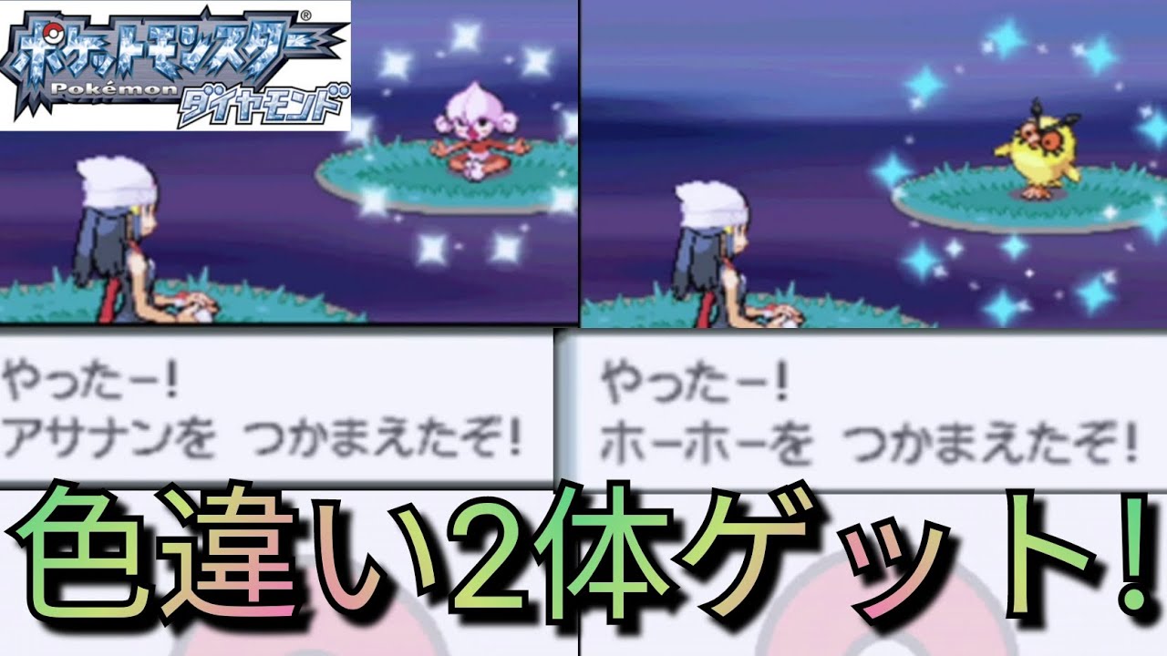 【メロボ乱数色違い旅】色違いホーホーとアサナンをゲットしてみた！211番道路/ポケモンDP/ニンテンドーDS/ダイパリメイク/BDSP/Pokémon