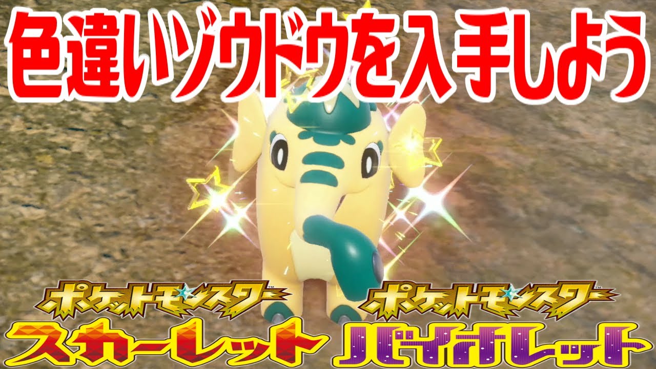 【ポケモンSV】色違いゾウドウを入手しよう【ポケットモンスター スカーレット・バイオレット】Pocket Monsters