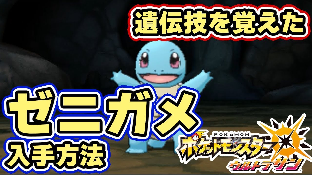 【ポケモンUSUM】島スキャンで遺伝技を覚えた「ゼニガメ」の入手方法と出現場所　月曜日メレメレ島【ウルトラサンムーン実況】