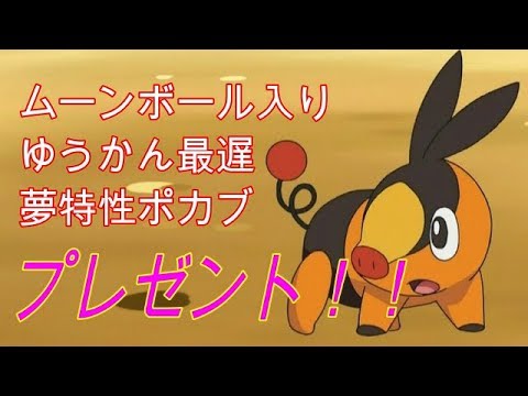 ポケモンUSUM　ムーンボール入りゆうかん最遅夢特性ポカブプレゼント