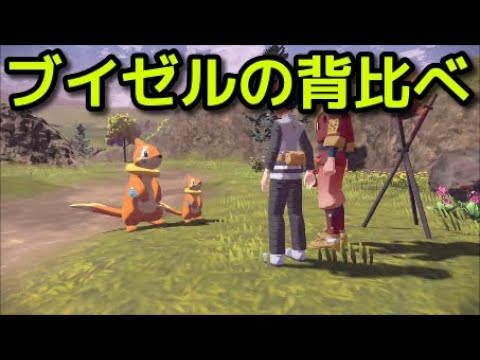 【ポケモン アルセウス】サブ任務4 ブイゼルの背比べ 攻略 大きいブイゼルの捕まえ方 出現場所【Pokémon LEGENDS アルセウス】