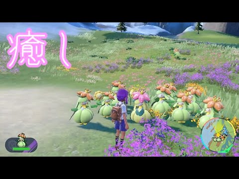 【ポケモンSV】ドレディアを眺めるだけ【ポケットモンスタースカーレットバイオレット】