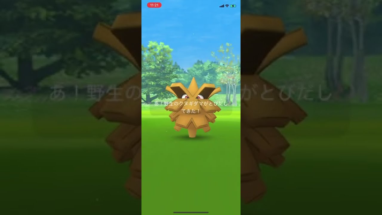 【ポケGO】ポケモンGO クヌギダマ色違い