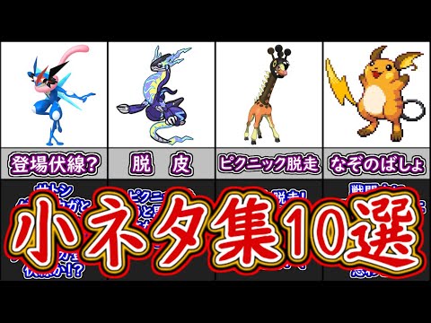 ポケモンSV 小ネタ10選！サトシゲッコウガの面影など！ポケモンスカーレット＆バイオレット【ゆっくり解説】【メイルス】