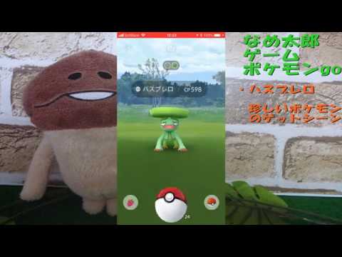 【ポケモンgo】珍しいポケモン「ハスブレロ」ゲットシーン