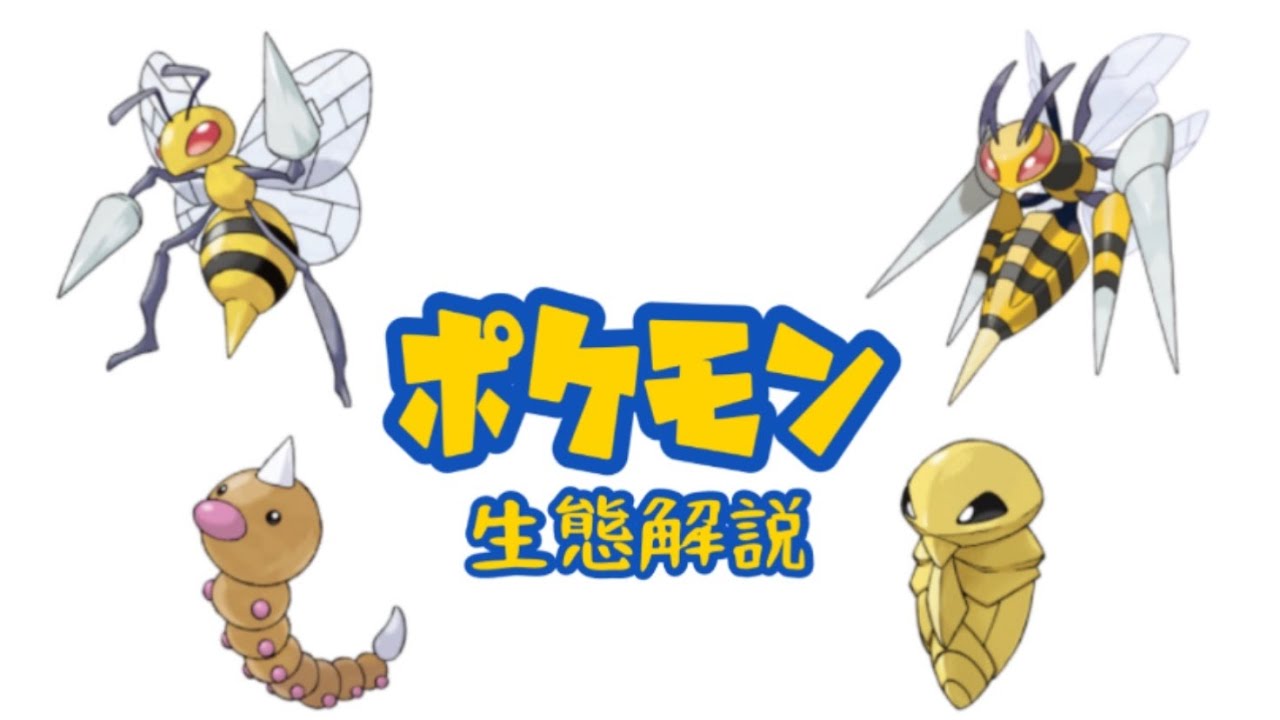 【ポケモン解説】「ビードル」「コクーン」「スピアー」の生態・小ネタ・鳴き声について！