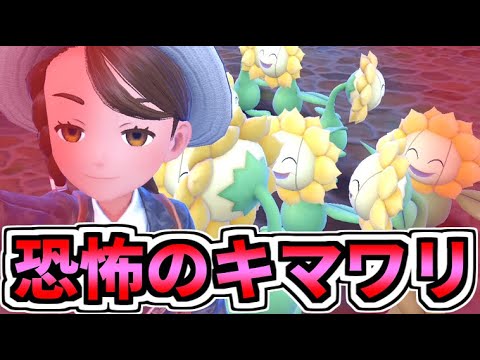 ジムテストのキマワリに追い回されるのが怖いけど面白すぎる【ポケットモンスターsv】