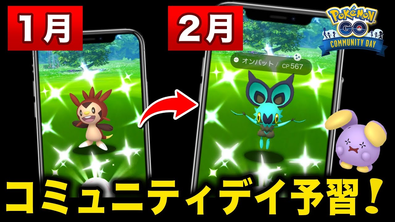 コミュニティデイ予習＆２月の対象はまさかのオンバット！？まぼろしポケモンなどの最新情報【ポケモンGO】