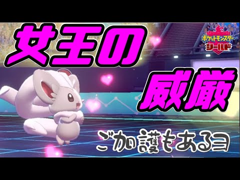 【実況】悪の女王・おうじゃのしるしチラチーノ【ポケモン剣盾】