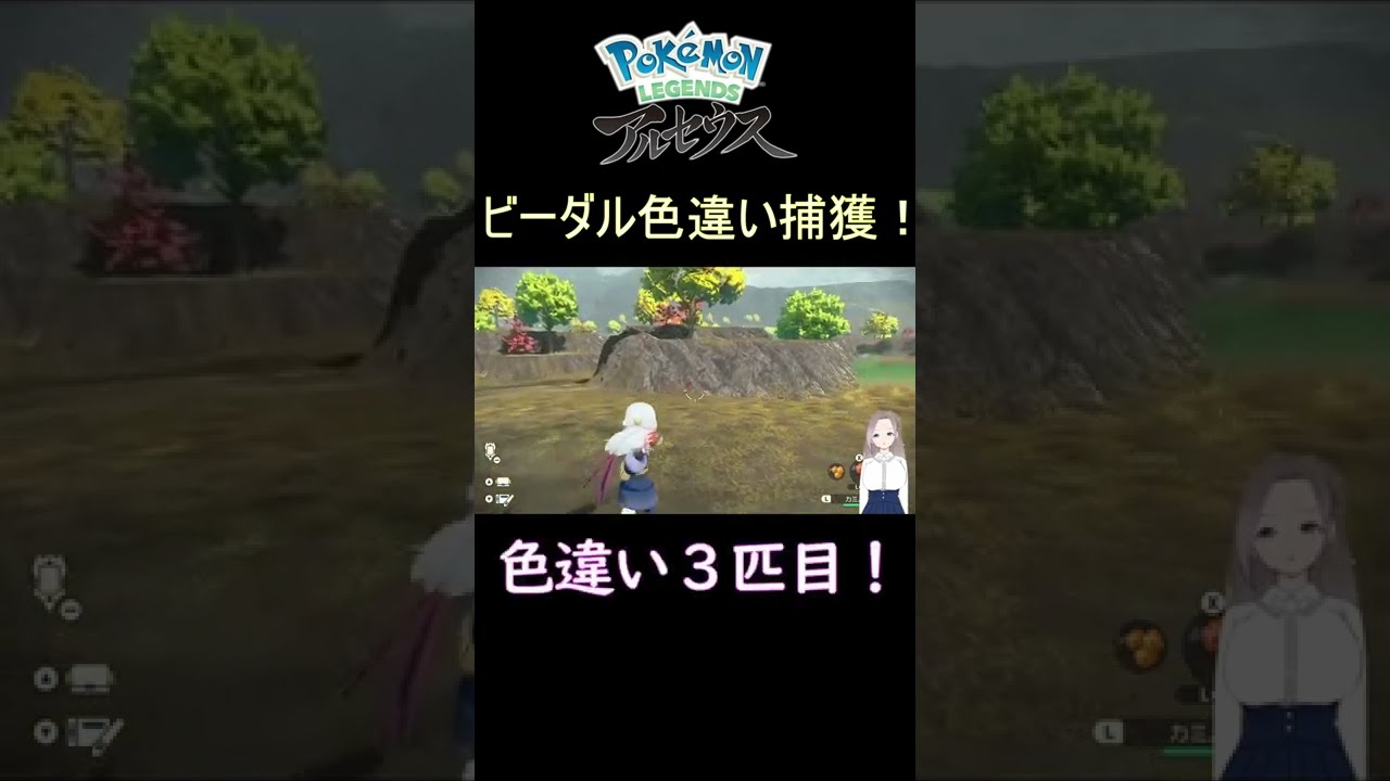 ビーダル（ビッパ）色違い捕獲！【ポケモンレジェンズアルセウス】 ＃Shorts