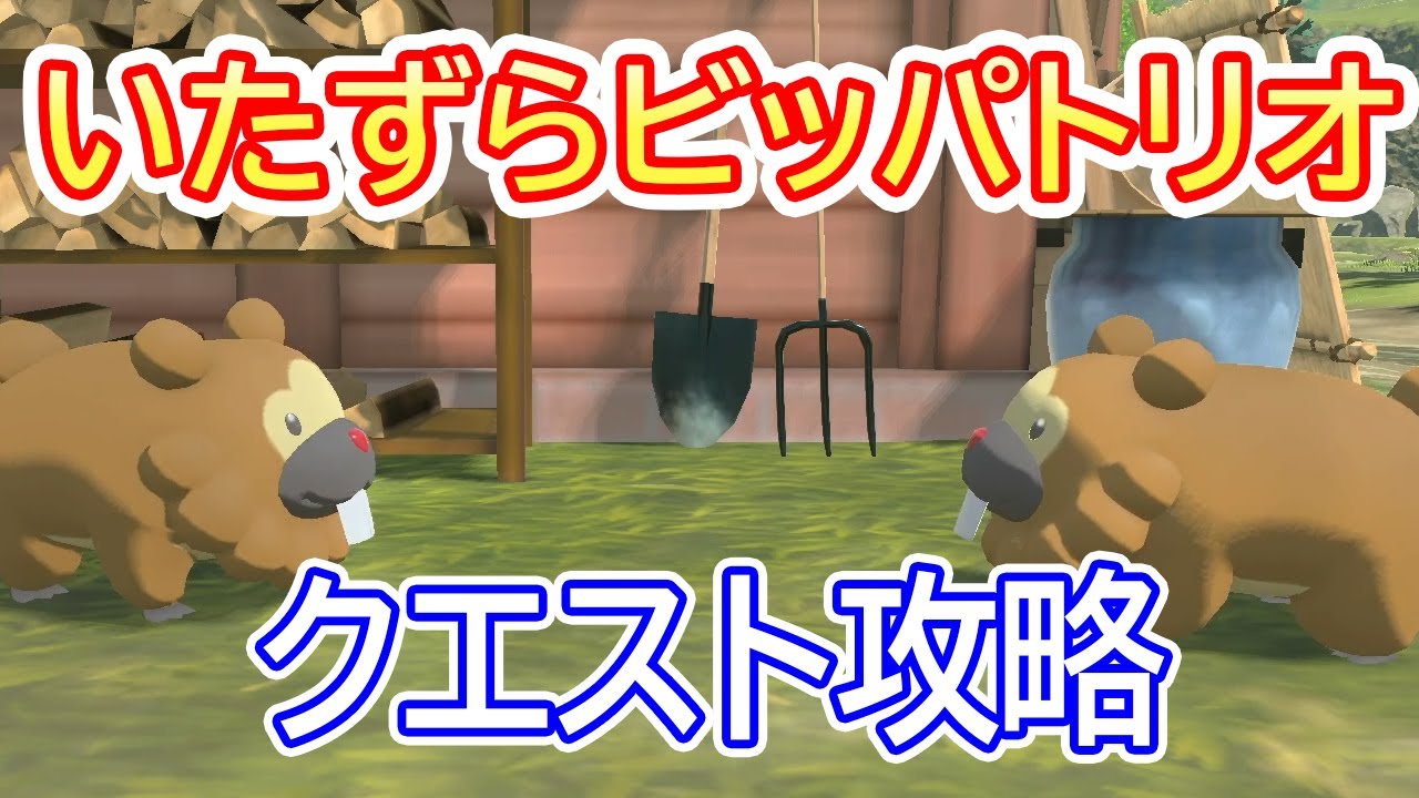 いたずらビッパトリオの攻略【ビッパのいる場所・出現場所・ポケモンアルセウス・攻略動画・Pokémon LEGENDS アルセウス・任天堂スイッチ・クエスト】