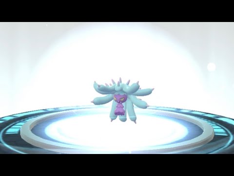 ヒドイデの進化✨