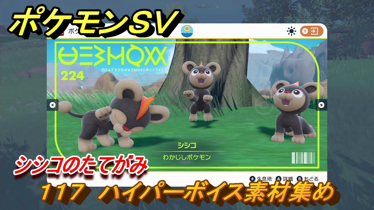ポケモンＳＶ　わざマシン１１７　ハイパーボイス素材集め　シシコのたてがみの入手方法は？　【スカーレット・バイオレット】