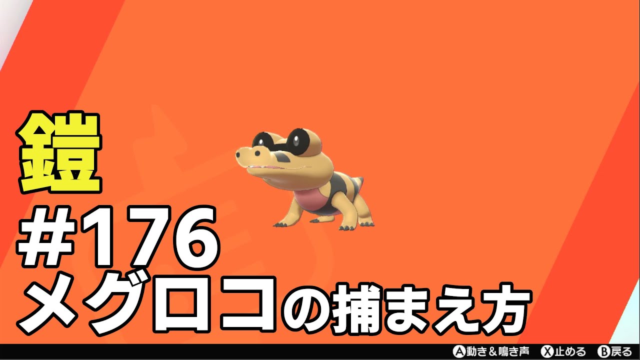 メグロコを探している方に見てほしい動画