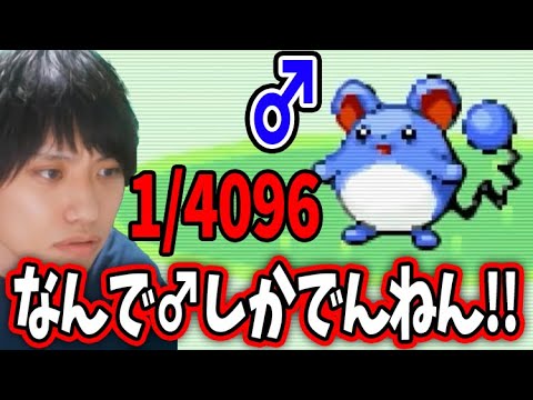 マリル♀を粘るも12連続で♂を引き、テンションがおかしくなるF竹田【ポケモンエメラルド　ポケモンセンター禁止縛り】