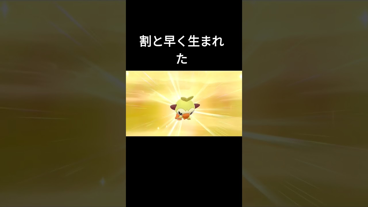 【ポケモン剣盾】色違いサルノリ誕生シーン
