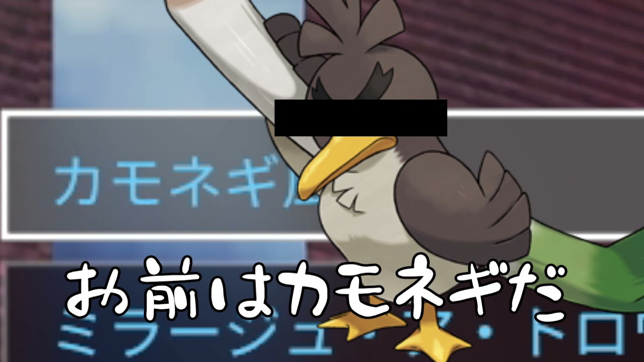 お前はカモネギだ.mp4