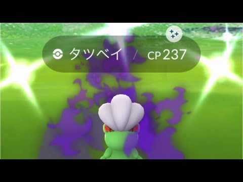 ポケモンGO 色違いシャドウタツベイ出現！色違いコモル―、色違いボーマンダへ進化！　＃Shorts