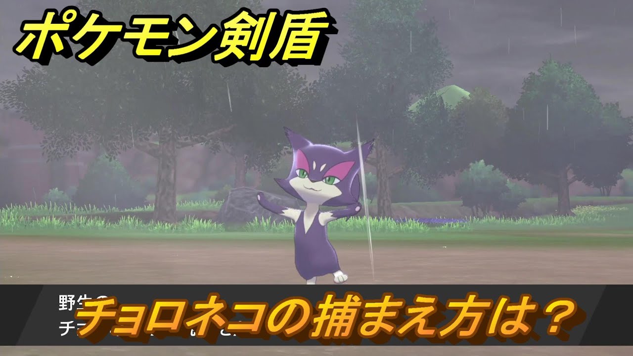 ポケモン剣盾　チョロネコの出現場所は？オススメの場所は？天気は？ポケモン図鑑コンプへの道！　最新版【ポケモンソード・シールド】