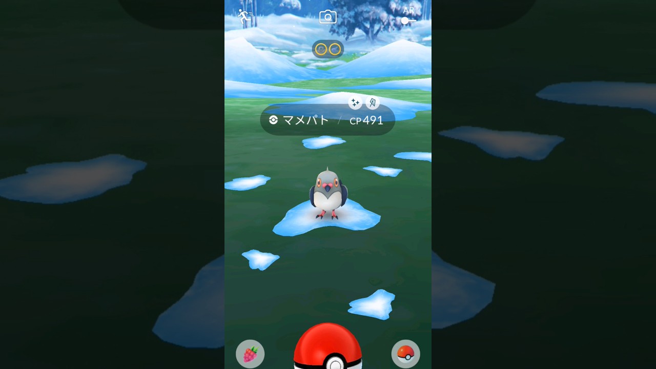 ポケモンGO　マメパト色違い
