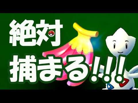 【ポケモンGO】裏技!? アレを使えば野生のトゲチックが簡単に捕まる!?ナナの実の真の活用法!!