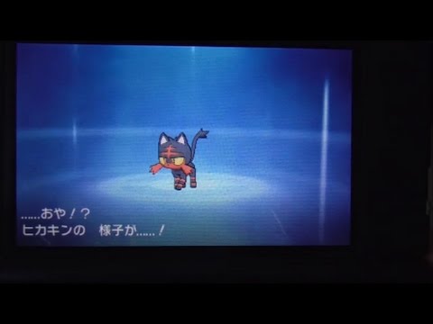 【ポケモン:ムーン】ニャビー進化の瞬間『ポケットモンスター サン・ムーン』