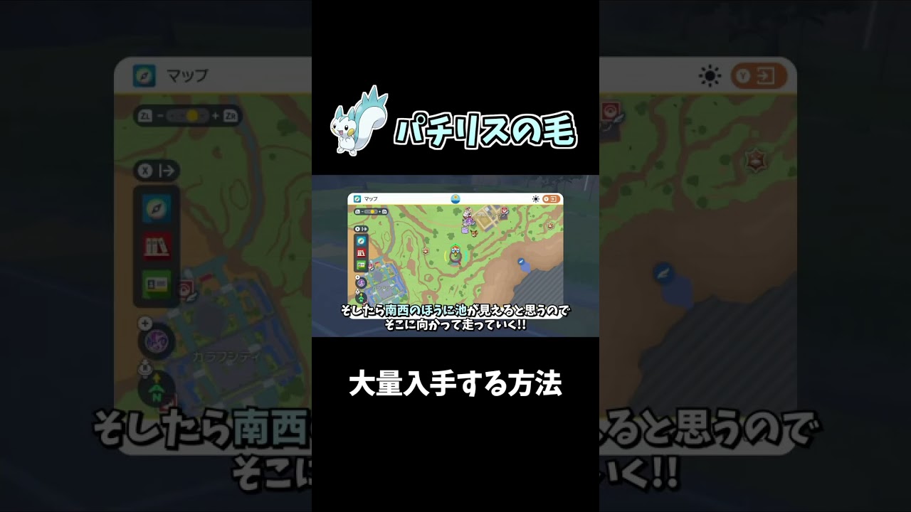 【ポケモンSV】パチリス大量入手！技マシンに必要な『パチリスの毛』の効率的な集め方！#shorts