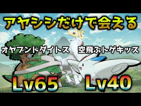 【ゆっくり実況】アヤシシだけで会えるオヤブンドダイトスと空飛ぶトゲキッス【ポケモンレジェンズアルセウス / Pokémon LEGENDS】