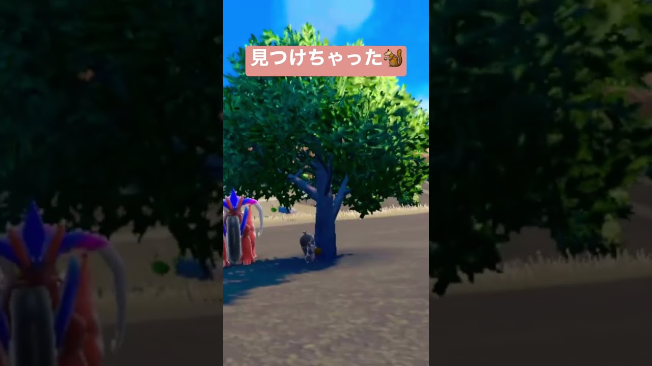 【 #ポケモンSV 】ほおばるキミは可愛い #shorts #きのみ #ホシガリス