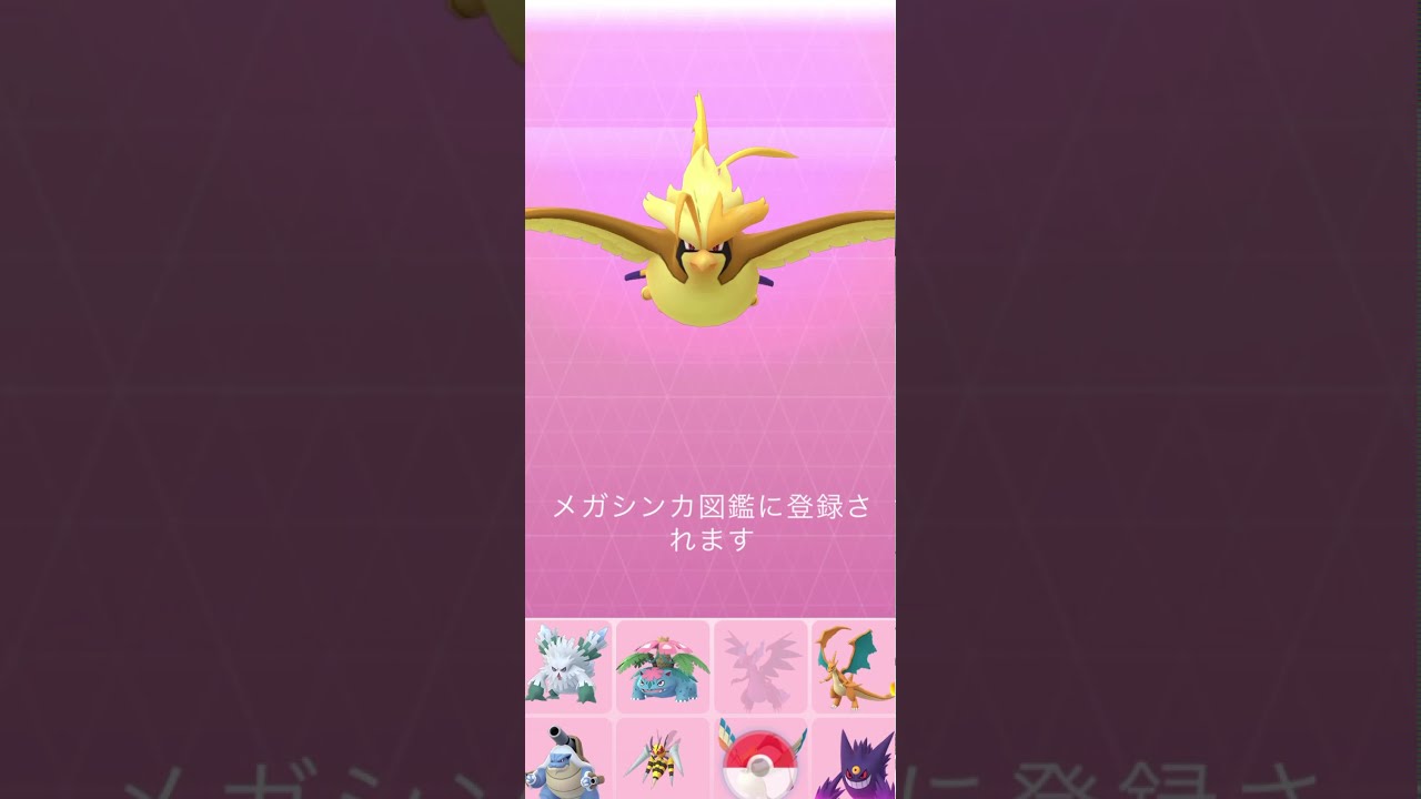 【Pokémon GO】ピジョット → メガピジョット 進化🔥 色違いver