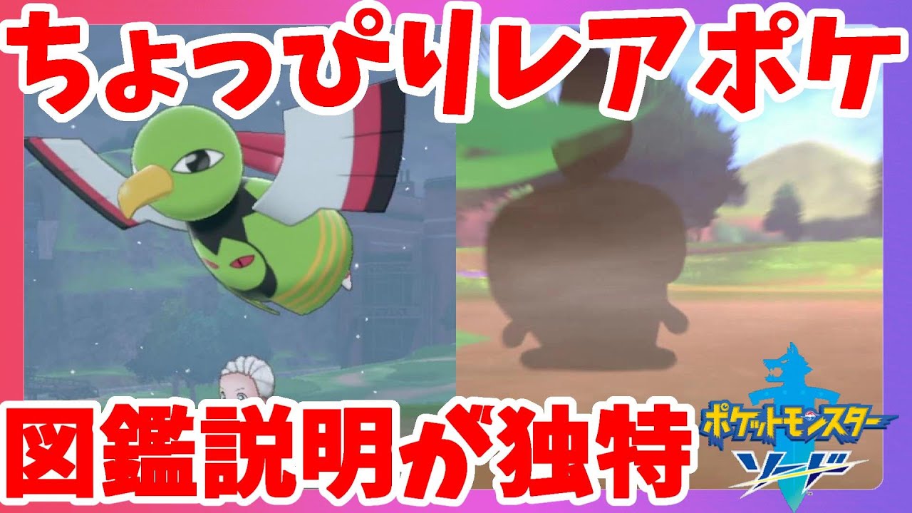 【ポケモンソードシールド】ネイティオの気づかないフリ！？実は低確率出現らしい！