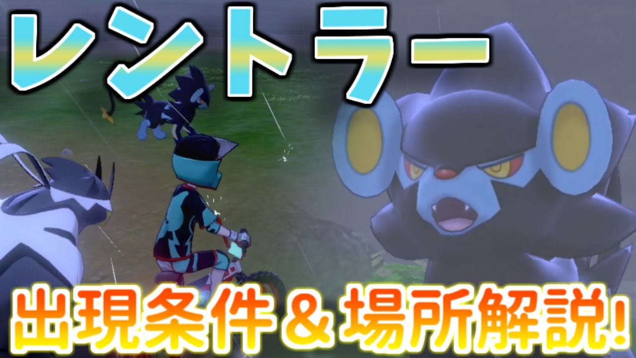 【鎧の孤島】2分で分かる！出現率100％でレントラーに会う方法！【ポケモン剣盾】