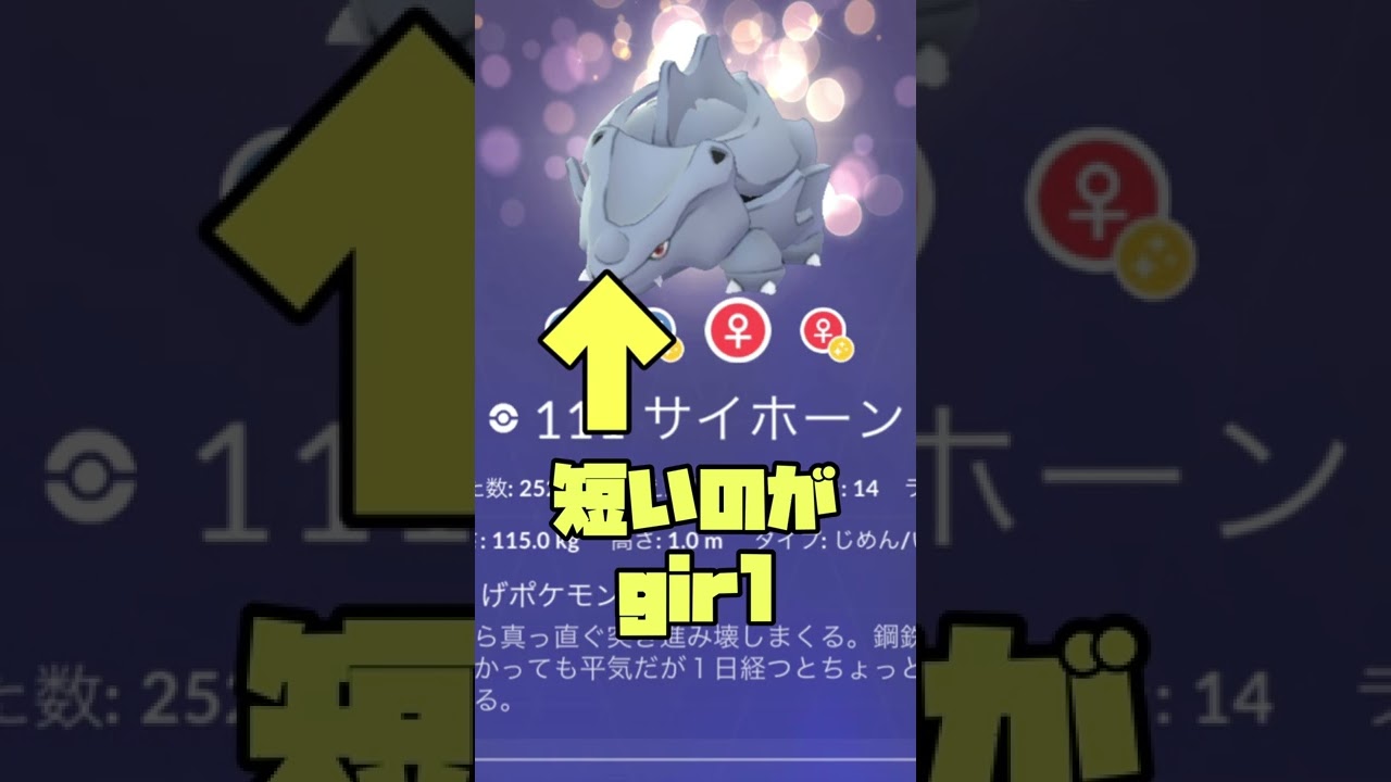 サイホーンのオスメス見分け方！