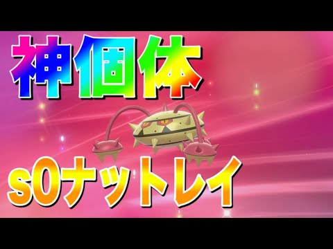 S0色違いナットレイとかいうロマン　【ポケモン剣盾】