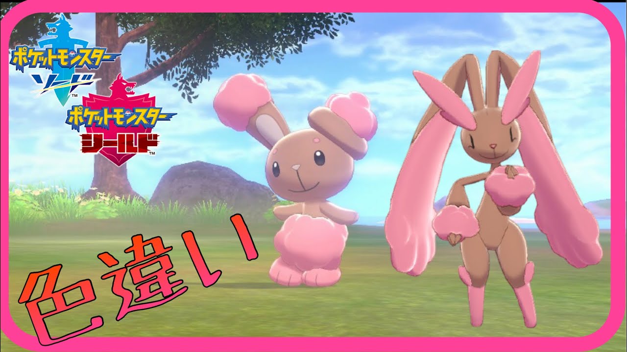 【ポケモン色違い】癒しの天使❗❗色違いミミロル 【ポケモン剣盾】ゆっくり実況