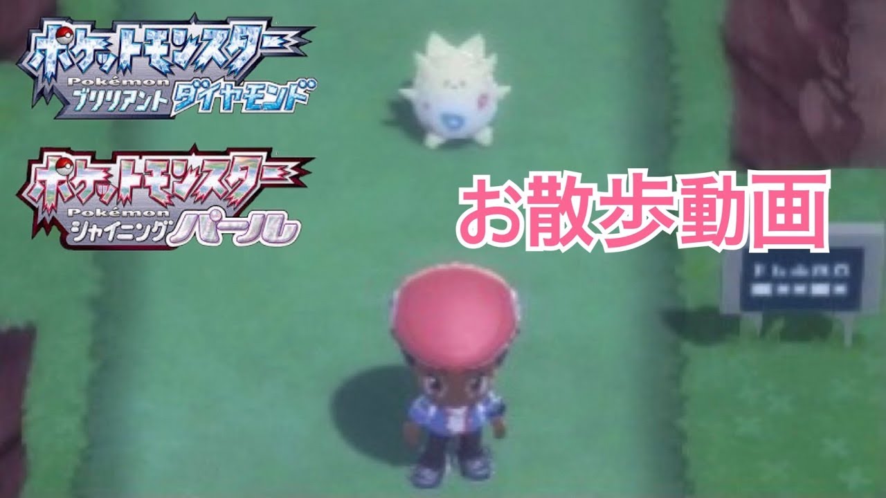 【ポケモンBDSP】トゲピーの歩き方はかわいい🥰