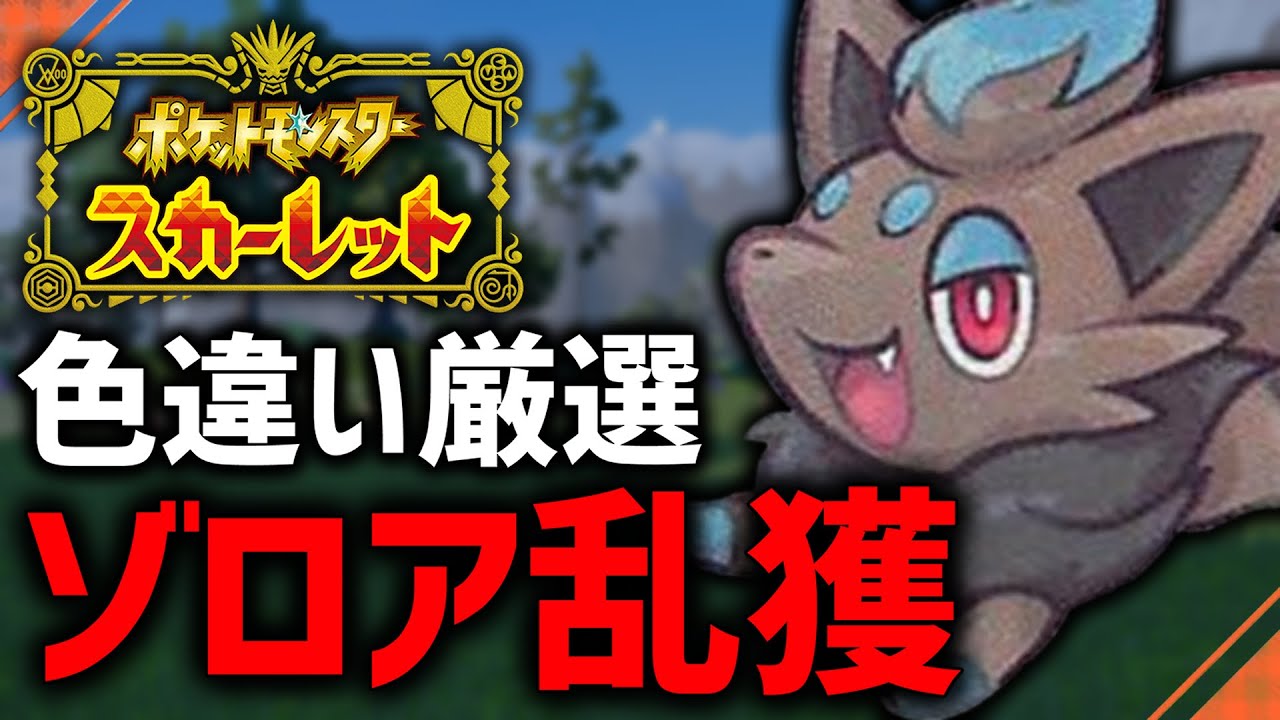 【ポケモンSV】HOME実装前に色違いゾロア厳選する！